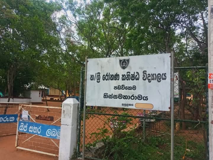 Nena pahana 2023-07-07