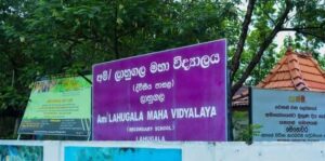 Nena pahana 2023/06/23